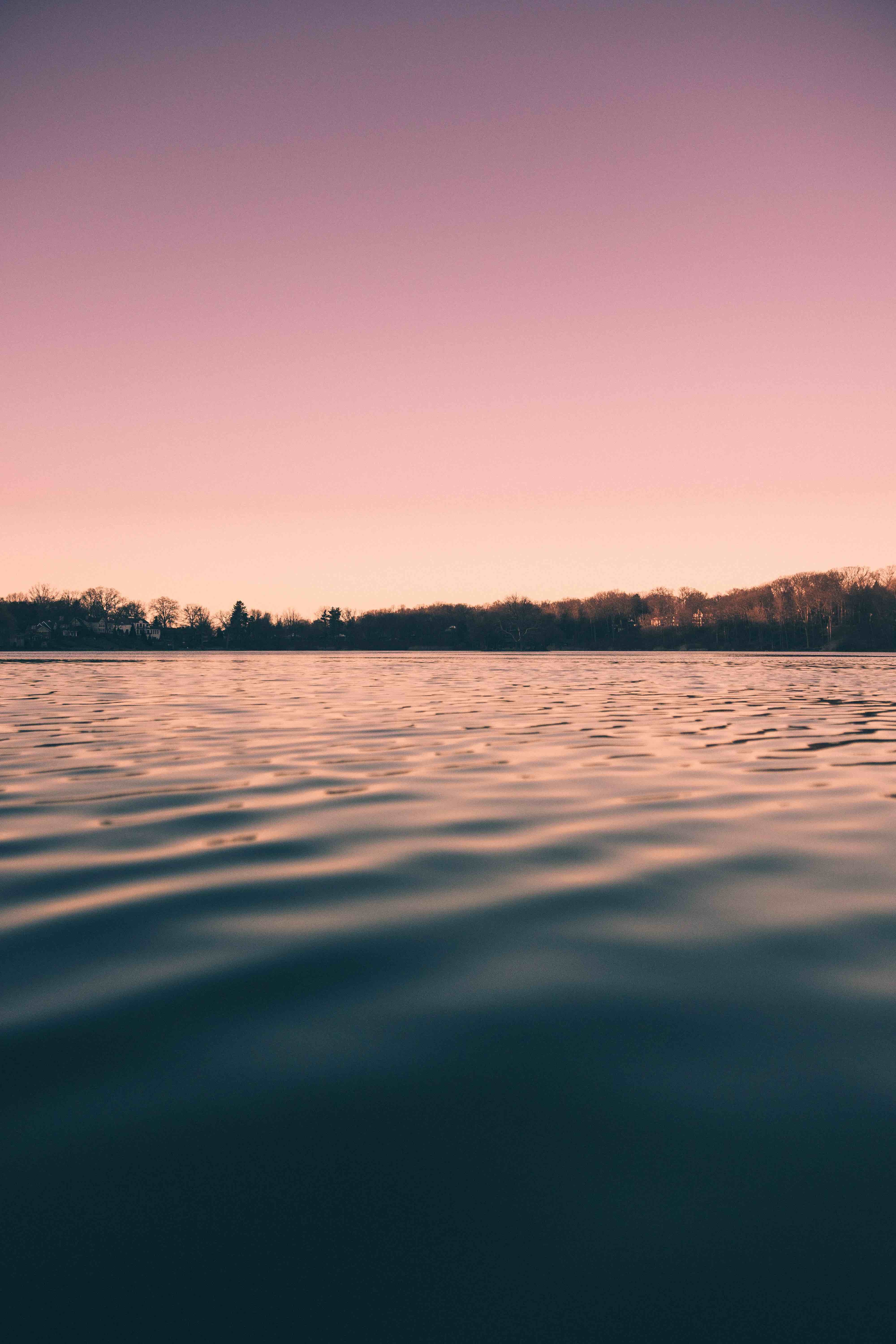 max-andrey-UOk556hi1-8-unsplash