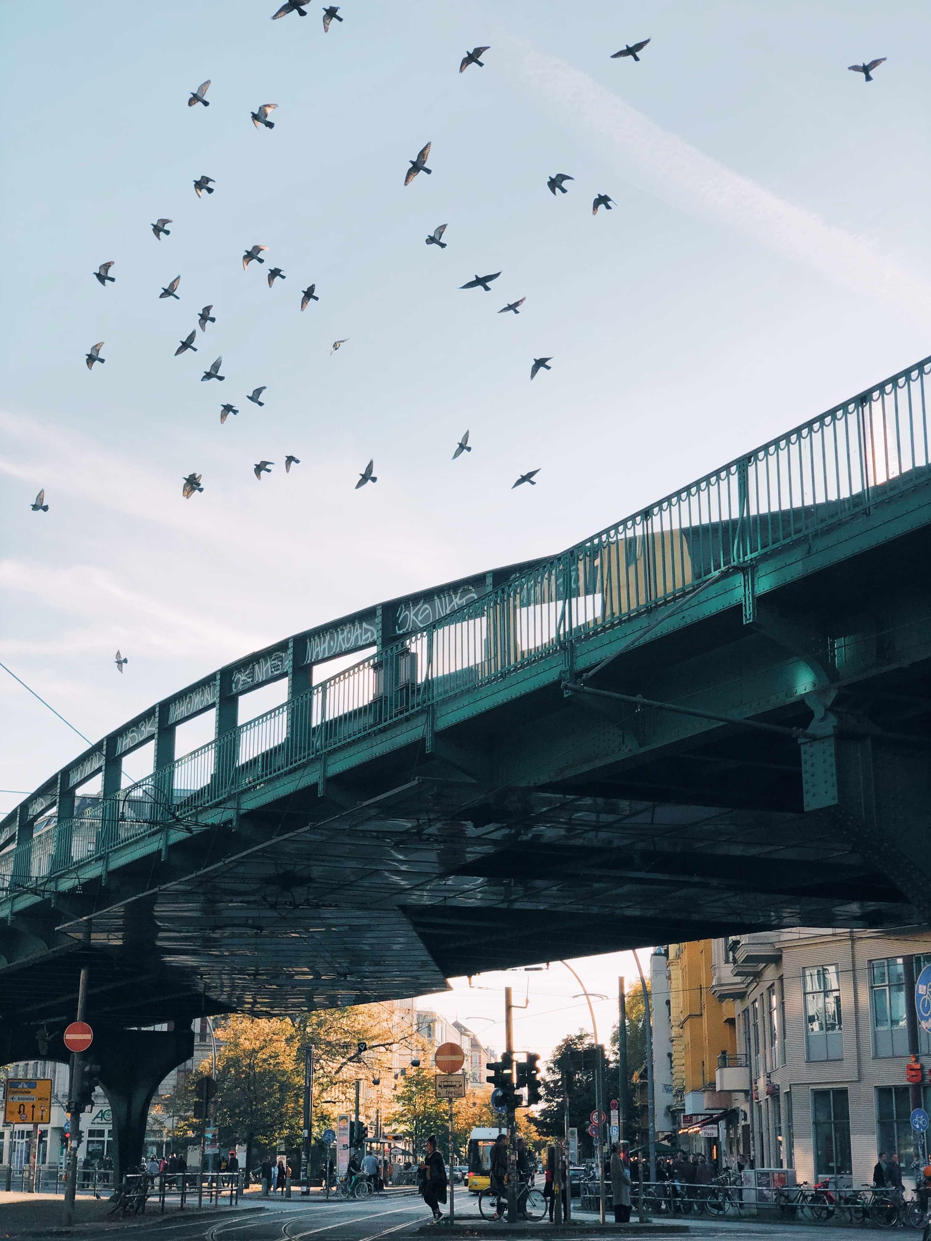 pavel-nekoranec-EioK6jZ6OTY-unsplash